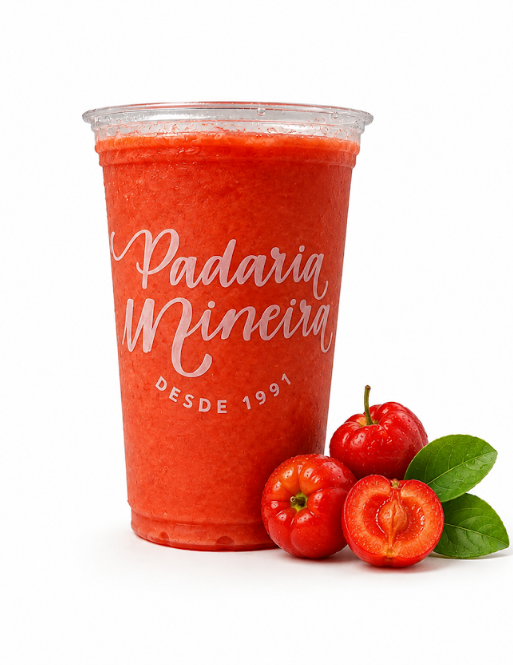 Suco Acerola Polpa 500ml